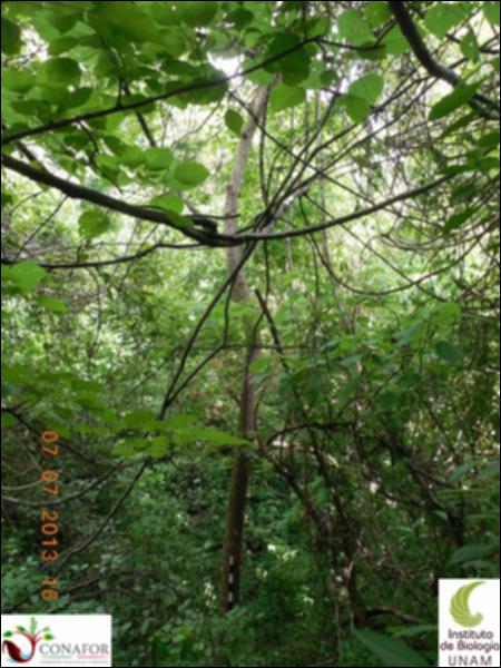 75134_S1_ARC_20130706_033_001.jpg.jpg
