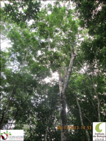 48211_S2_ARC_20130813_014_001.jpg.jpg