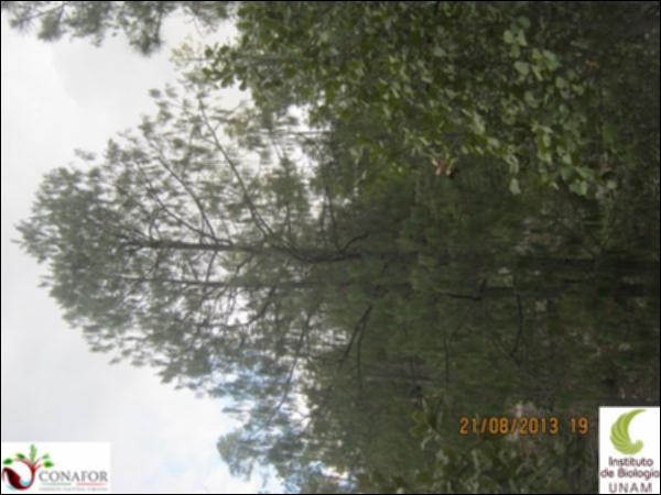 38638_S2_ARC_20130822_007.jpg.jpg
