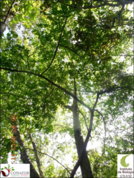 76707_S1_ARC_20130714_010_002.jpg.jpg
