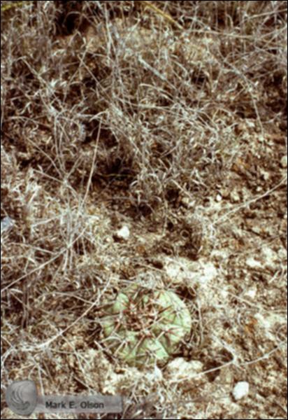 12189.jpg.jpg
