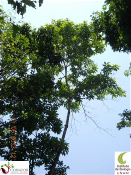 71892_S2_ARC_20130510_015_002.jpg.jpg