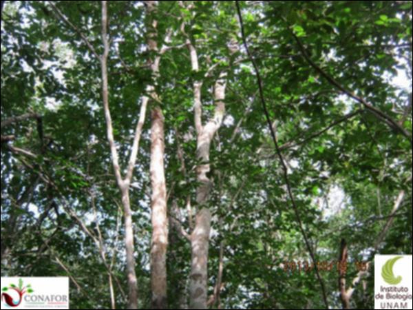56644_S3_ARC_20131014_017_002.jpg.jpg