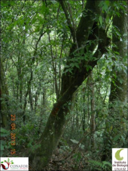 61651_S1_ARC_20130428_015_001.jpg.jpg