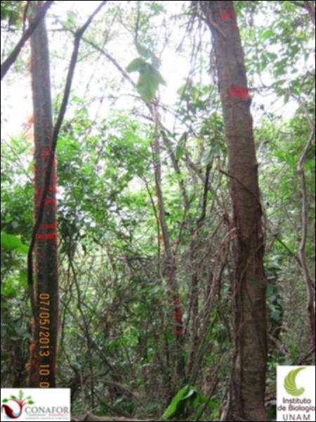 49278_S1_ARC_20130506_001.jpg.jpg
