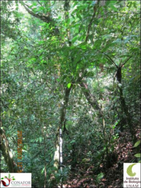 74388_S1_ARC_20130519_017_001.jpg.jpg