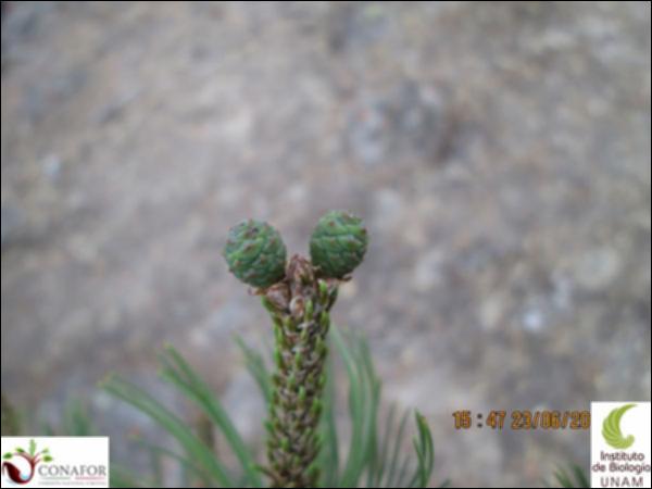 38441_S4_FRT_20130623_002.jpg.jpg