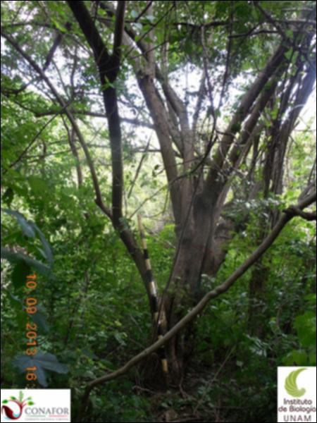 73038_S2_ARC_20130909_011_001.jpg.jpg