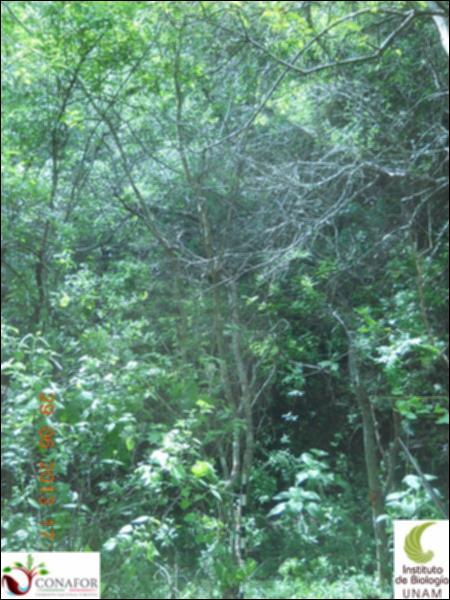 76444_S2_ARC_20130629_004_001.jpg.jpg