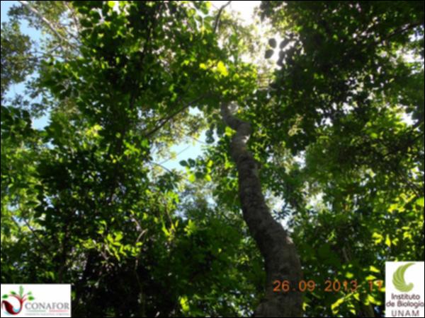 48899_S2_ARC_20130926_001_001.jpg.jpg