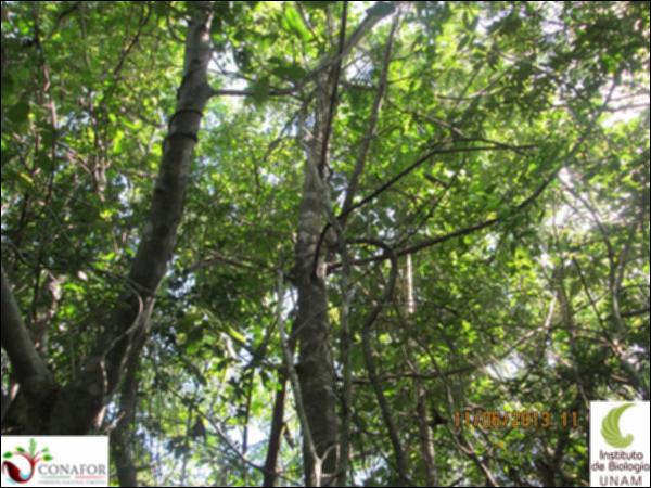 50750_S2_ARC_20131106_004_001.jpg.jpg