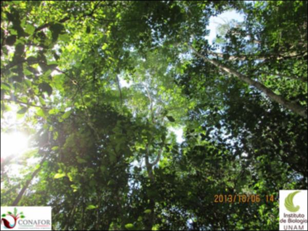 54239_S1_ARC_20131006_017_002.jpg.jpg