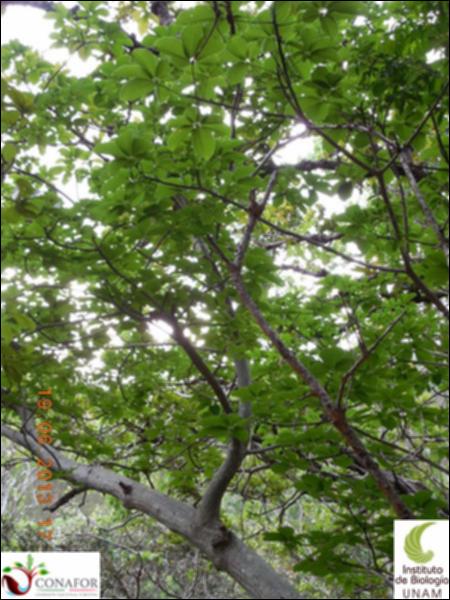 76979_S2_ARC_20130619_023_002.jpg.jpg