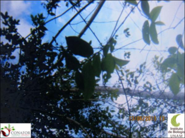 49579_S3_ARC_20130613_023_001.jpg.jpg