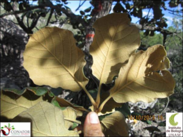 22794_S1_HJ2_20131018_003.jpg.jpg