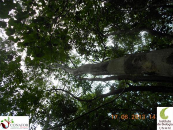 51199_S1_ARC_20130614_019_001.jpg.jpg