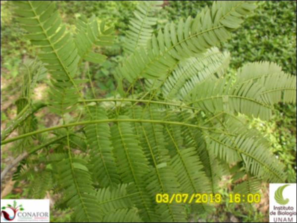 63079_S2_HJ2_20130703_011.jpg.jpg