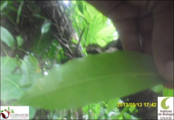 62750_S4_HJ2_20130513_041_001.jpg.jpg