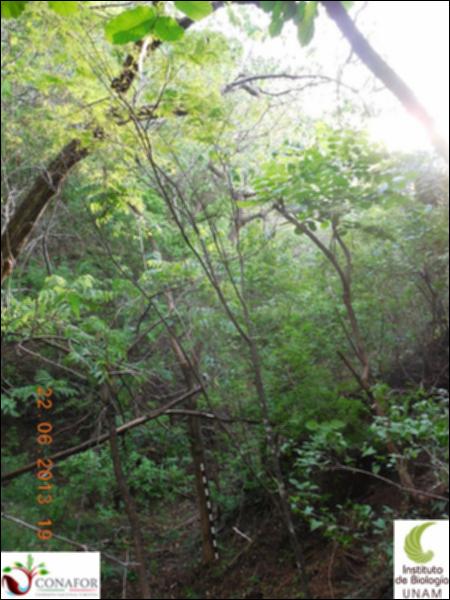 75179_S2_ARC_20130622_022_001.jpg.jpg