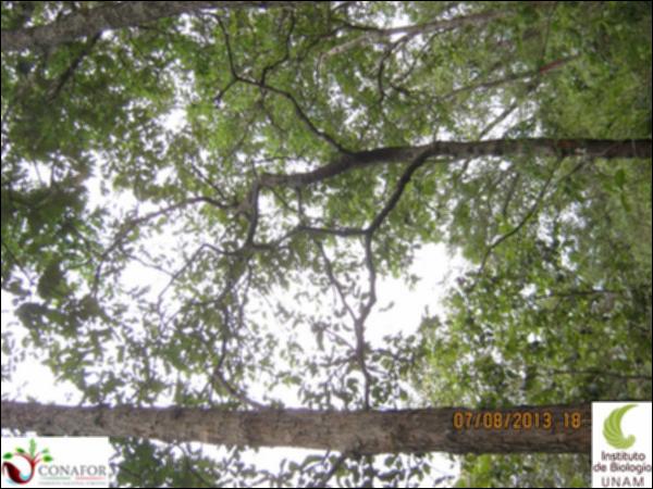 54737_S4_ARC_20130807_006.jpg.jpg