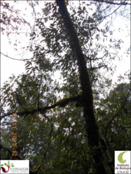 71631_S3_ARC_20131112_008_002.jpg.jpg