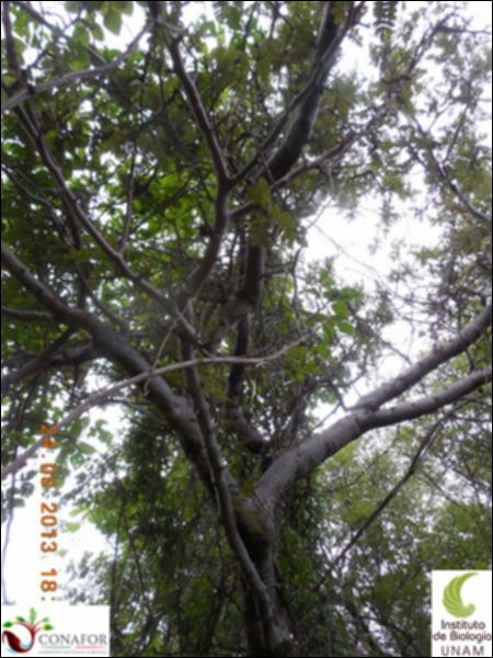 66090_S1_ARC_20130924_001_002.jpg.jpg