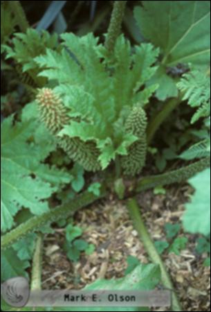 766.jpg.jpg