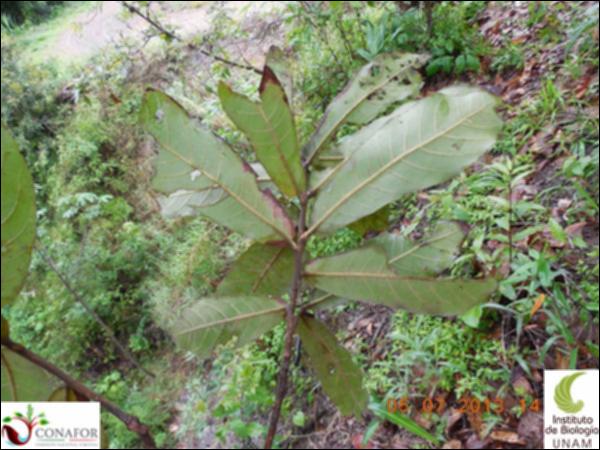 74136_S3_HJ2_20130705_007_001.jpg.jpg