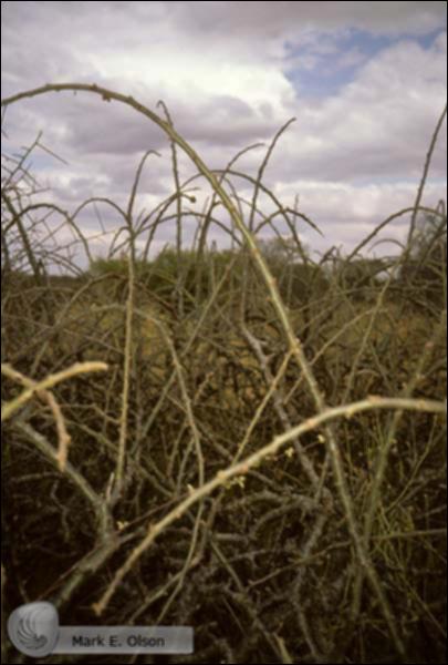 10069.jpg.jpg