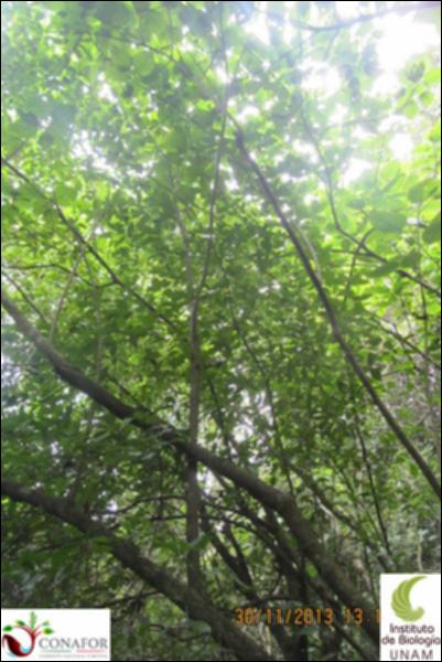 52308_S1_ARC_20131130_004_002.jpg.jpg