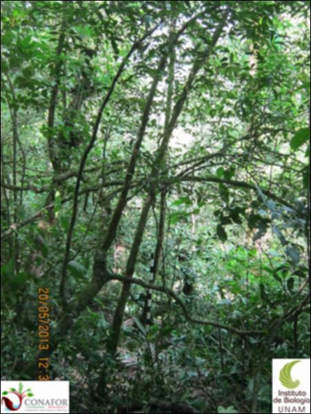 74388_S1_ARC_20130519_015_001.jpg.jpg
