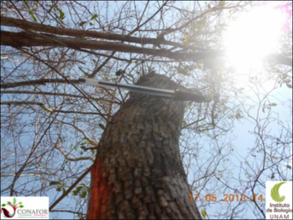 51880_S2_ARC_20130517_020_001.jpg.jpg