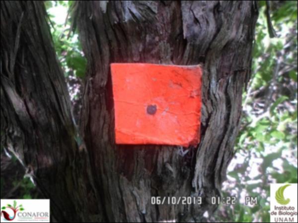 53757_S1_CRT_20131006_009_001.jpg.jpg