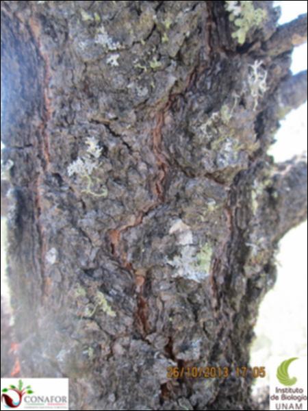 26480_S2_CRT_20131026_001.jpg.jpg