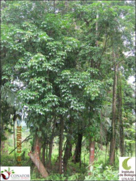 72326_S1_ARC_20130531_009_001.jpg.jpg