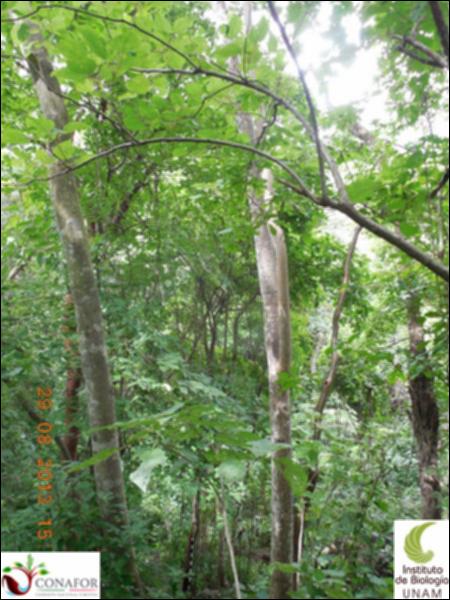 72405_S4_ARC_20130828_008_001.jpg.jpg