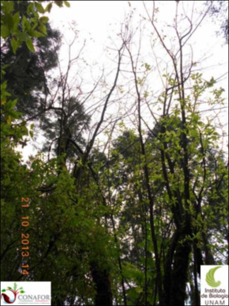 62096_S1_ARC_20131021_011_002.jpg.jpg