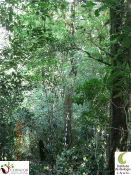 74388_S3_ARC_20130519_017_001.jpg.jpg