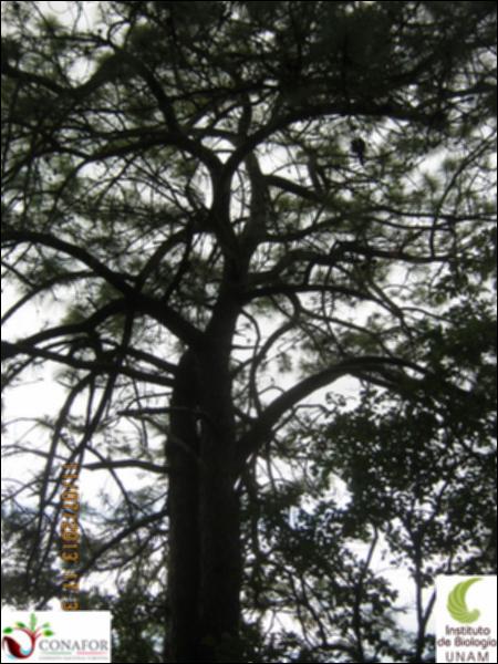 74743_S4_ARC_20130711_017_002.jpg.jpg