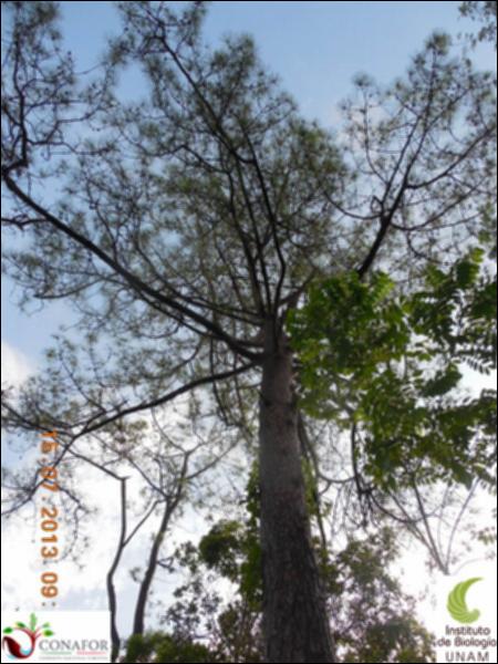 76707_S3_ARC_20130714_003_002.jpg.jpg