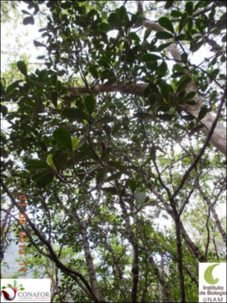 76974_S2_ARC_20130623_031_002.jpg.jpg