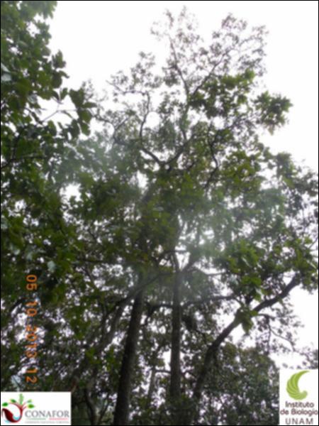 62842_S2_ARC_20131005_003_002.jpg.jpg