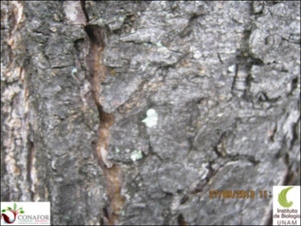 50329_S4_CRT_20130927_005.jpg.jpg