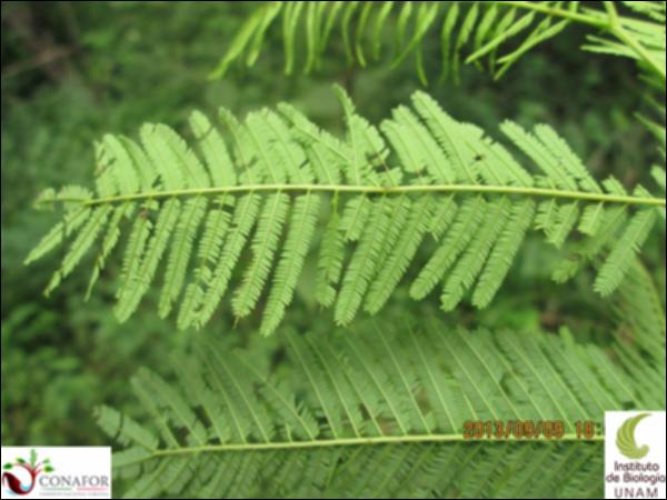 39242_S1_HJ2_20130910_019.jpg.jpg