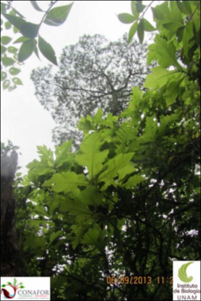 71987_S1_ARC_20130905_004_002.jpg.jpg
