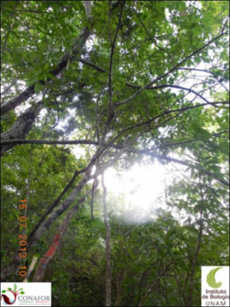 76707_S2_ARC_20130714_019_001.jpg.jpg