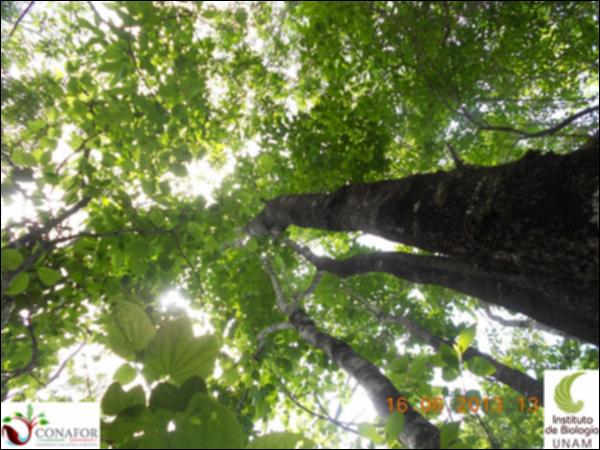 50270_S1_ARC_20130616_013_001.jpg.jpg