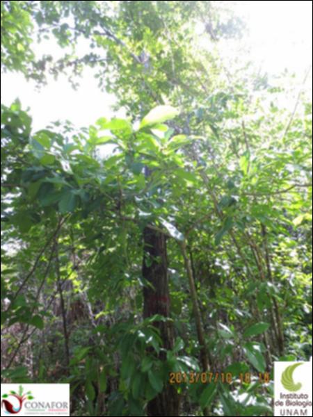 63448_S1_ARC_20130710_005_001.jpg.jpg