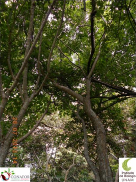 76949_S3_ARC_20130728_006_002.jpg.jpg