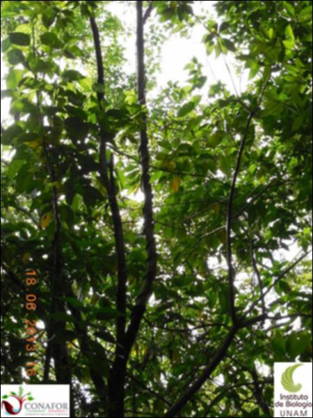 76600_S2_ARC_20130618_019_002.jpg.jpg